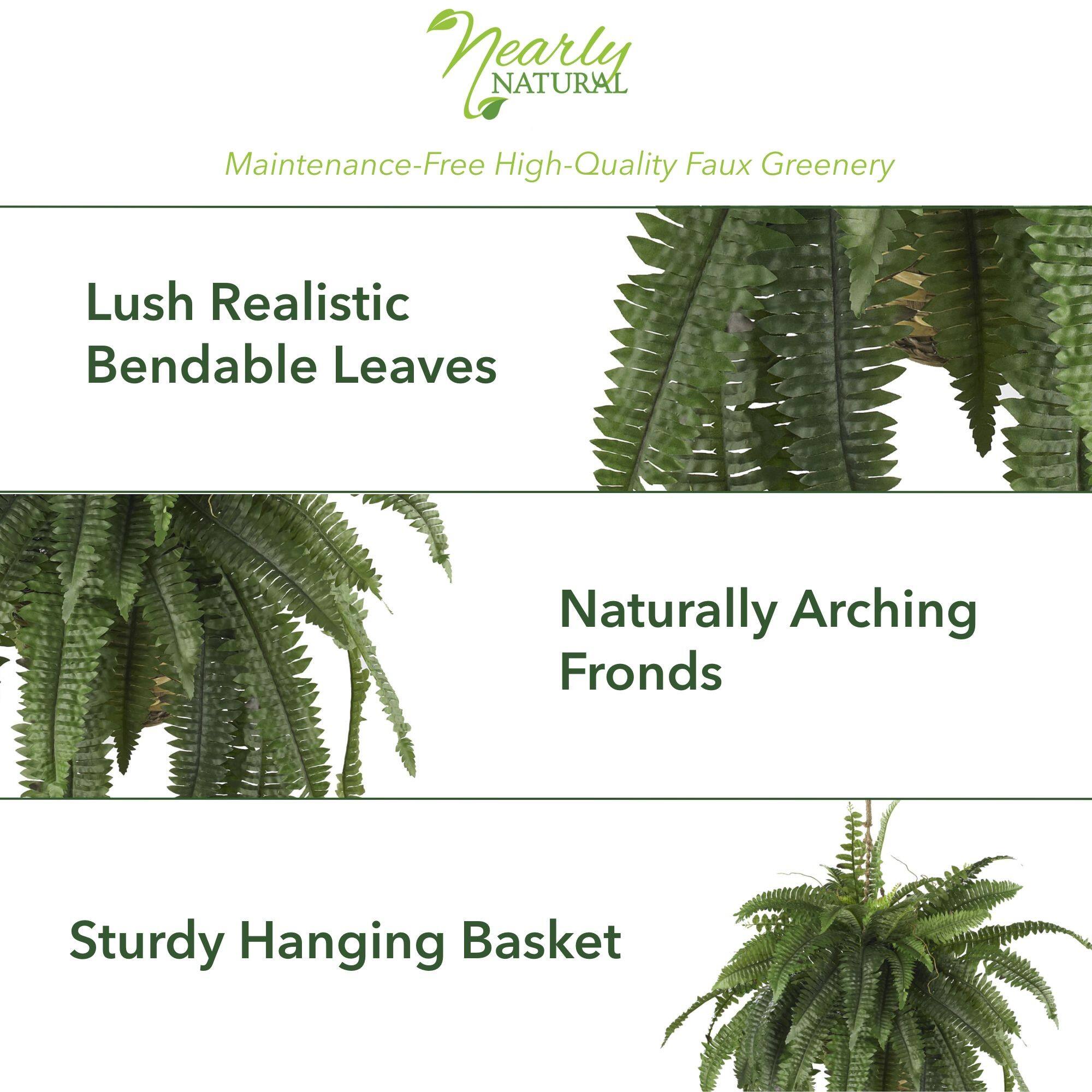 22" Boston Fern Hanging Basket